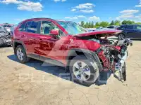 2025 Toyota RAV4 фото