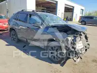 2025 Toyota RAV4 фото