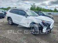 2025 Toyota RAV4 фото