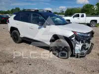 2025 Toyota RAV4 фото