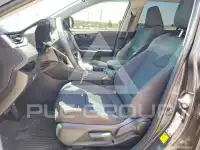 2025 Toyota RAV4 фото