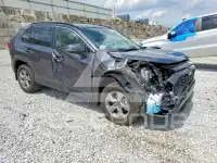 2025 Toyota RAV4 фото
