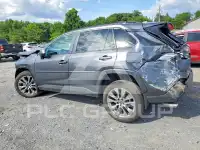 2025 Toyota RAV4 photo