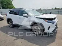 2025 Toyota RAV4 photo