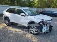 2025 Toyota RAV4 photo