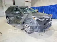 2025 Toyota RAV4 photo
