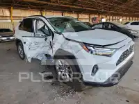 2025 Toyota RAV4 photo