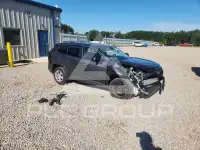 2025 Toyota RAV4 фото