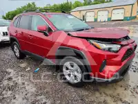 2025 Toyota RAV4 photo