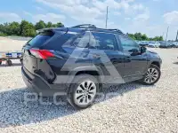 2025 Toyota RAV4 photo