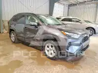 2025 Toyota RAV4 фото