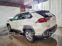 2025 Toyota RAV4 photo