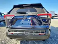 2025 Toyota RAV4 фото