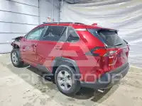 2025 Toyota RAV4 photo
