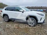 2025 Toyota RAV4 photo