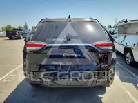 2025 Toyota RAV4 фото