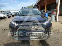 2025 Toyota RAV4 фото