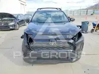 2025 Toyota RAV4 фото