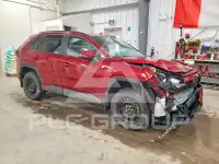 2025 Toyota RAV4 фото