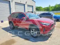 2025 Toyota RAV4 photo