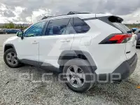 2025 Toyota RAV4 фото