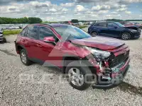 2025 Toyota RAV4 фото