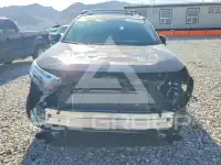 2025 Toyota RAV4 фото