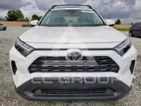 2025 Toyota RAV4 фото
