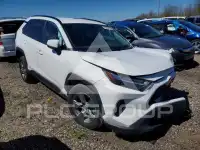 2025 Toyota RAV4 фото