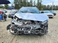 2025 Toyota COROLLA photo