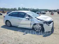 2025 Toyota COROLLA photo