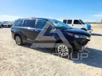 2025 Toyota SIENNA photo