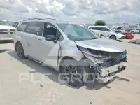2025 Toyota SIENNA фото