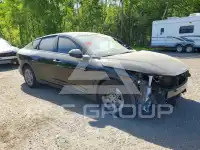 2025 KIA  фото