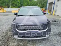 2025 KIA Carnival photo