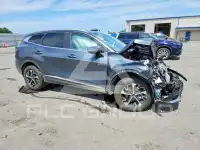 2025 KIA Sportage фото
