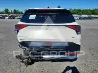 2025 KIA Sportage фото