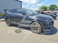 2025 KIA Sportage фото