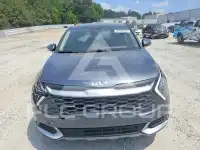 2025 KIA Sportage фото