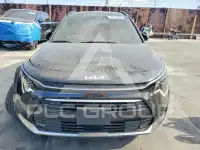 2025 KIA Niro photo