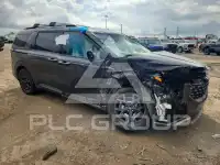 2025 KIA Carnival photo
