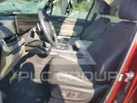 2025 KIA Carnival photo