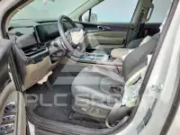 2025 KIA Carnival фото