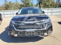 2025 KIA Seltos фото
