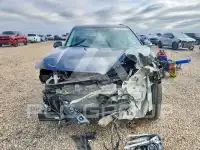 2025 KIA Seltos фото