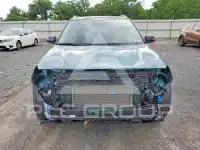 2025 KIA Seltos photo