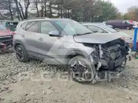 2025 KIA Seltos photo