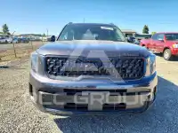 2025 KIA Telluride фото
