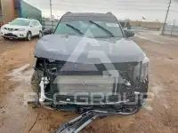 2025 KIA Telluride photo