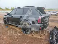 2025 KIA Telluride photo